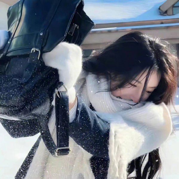 进阶的主母