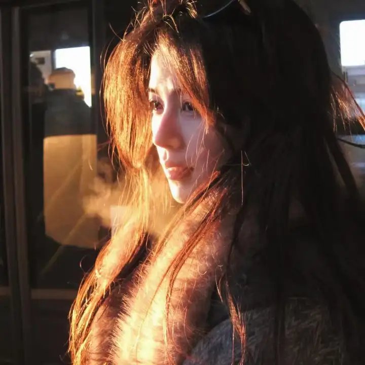 高速公路家族