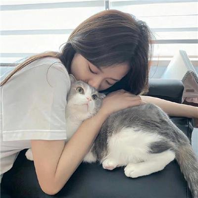 康纳斯的战争